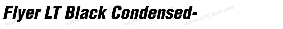 Flyer LT Black Condensed字体转换
